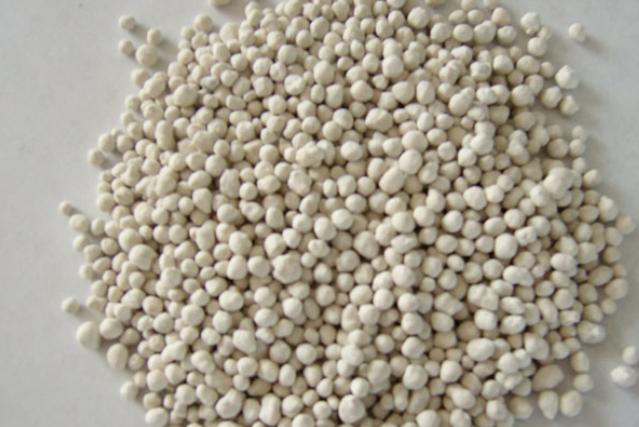 芦笋栽培及田间管理,芦笋种植技术和注意事项