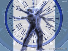 根据四象限法则如何管理时间,每日时间管理践行二八法则