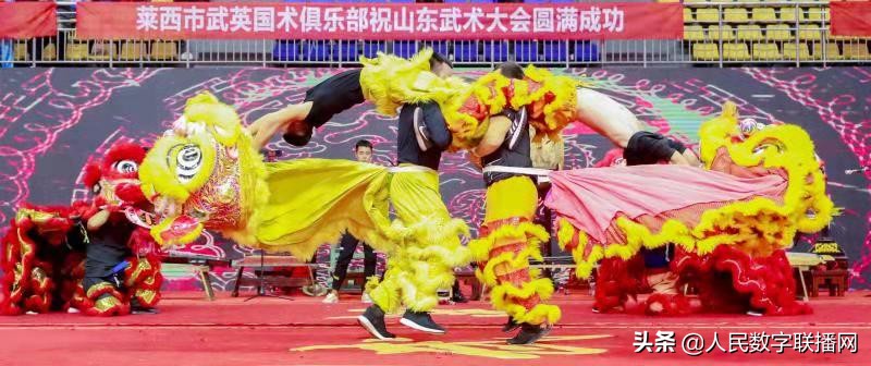 世界武术节比赛表演,世界武术大赛开幕式