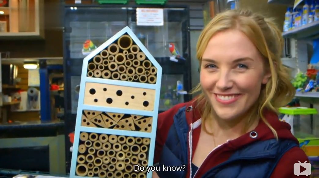 适合宝宝看的科普纪录片,bbc少儿科普动画片有哪些