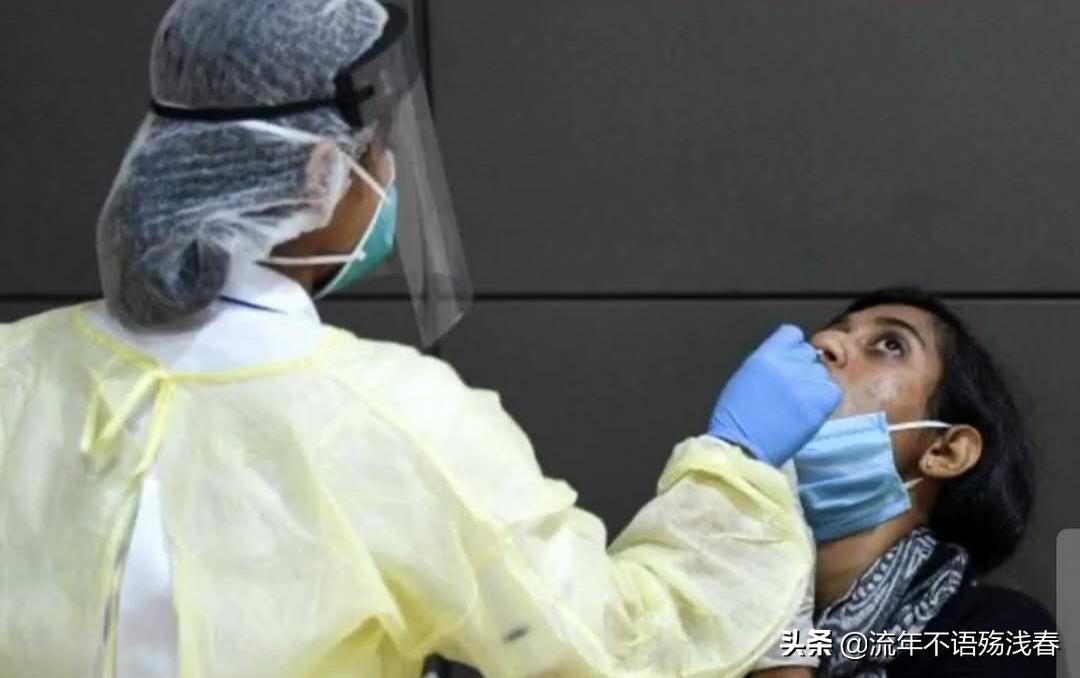 双胞胎鉴定同母异父,双胞胎鉴定同母异父视频完整版