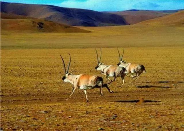 六月我们一起去旅行,九月带你去旅行