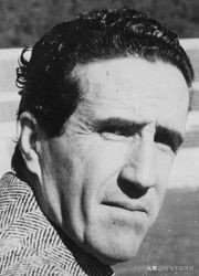 法国史上十大伟大球员,法国最伟大足球教练