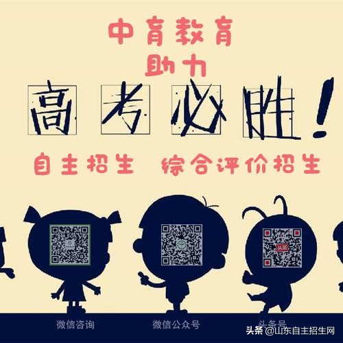 深圳北理莫斯科大学可以单招吗,北理莫斯科大学综合评价招生规则
