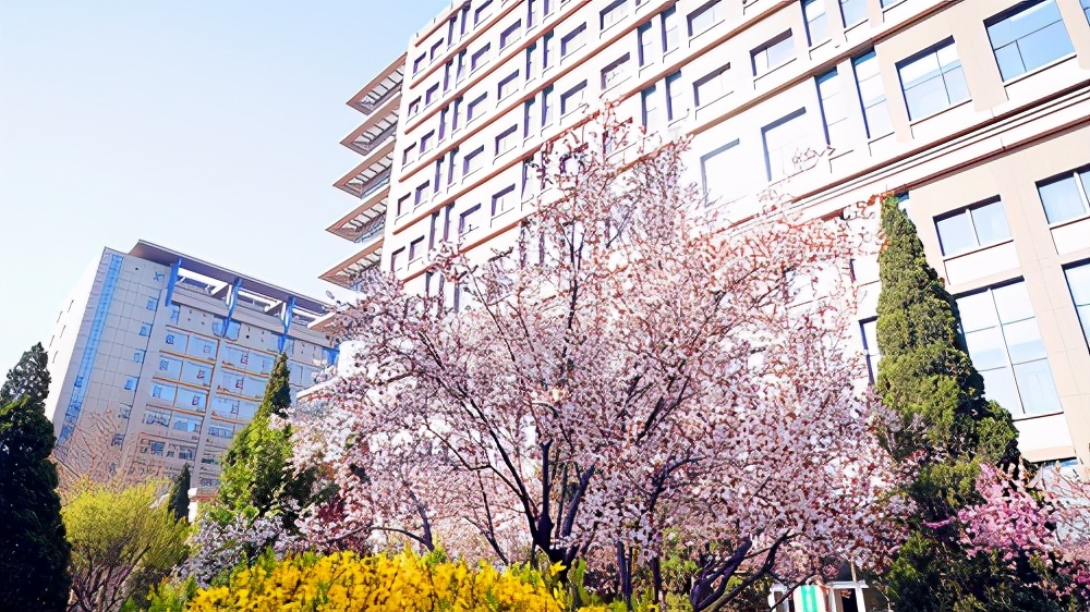 红色冀忆庆祝建*党**100周年·“医心向*党**”系列报道③石家庄市第五医院：与共和国同龄石家庄解放后首家公立医院