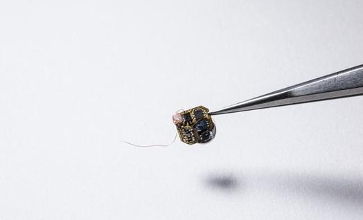 科学家把人改导致机器人,科学家把自己改导致机器人