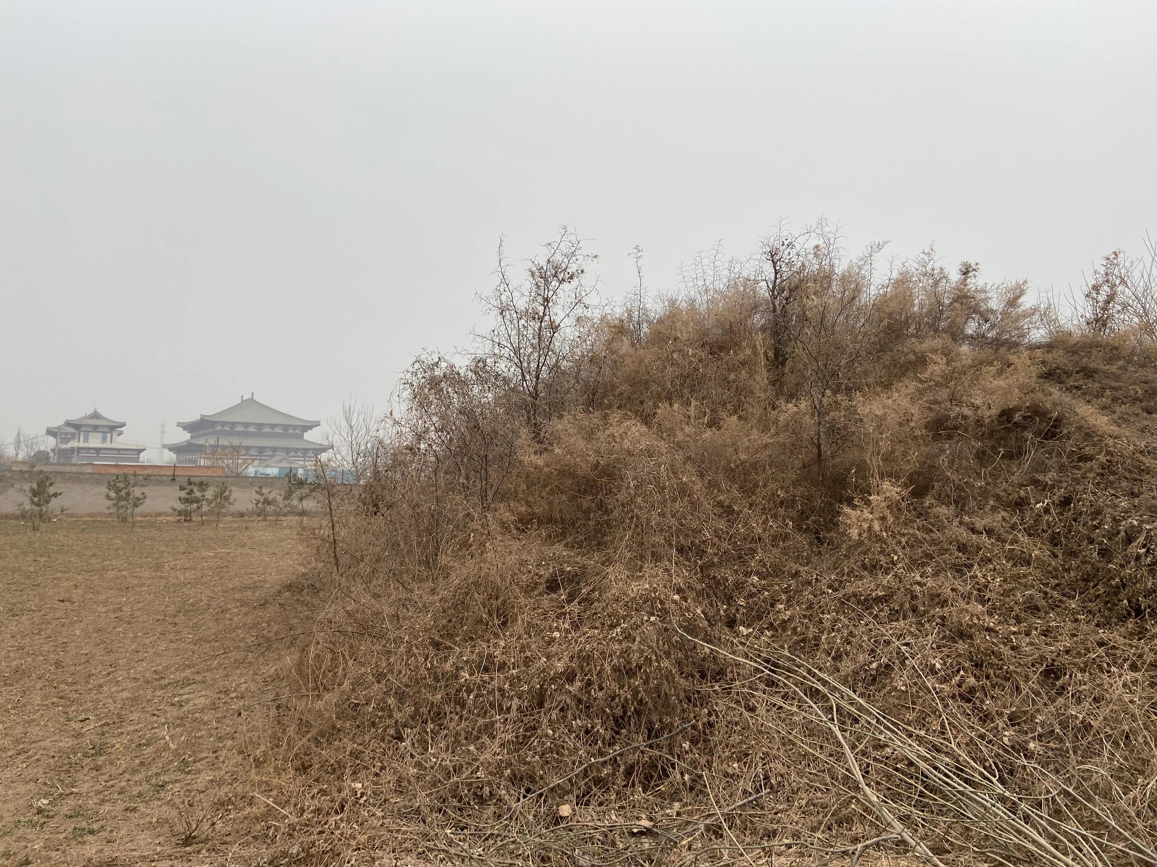 唐太宗李世民的墓是否挖出来,唐太宗李世民的墓有没有被挖