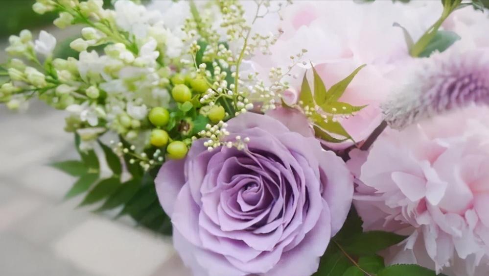 聪明女人在爱情里懂得这些事,在爱情里女人必须要知进退