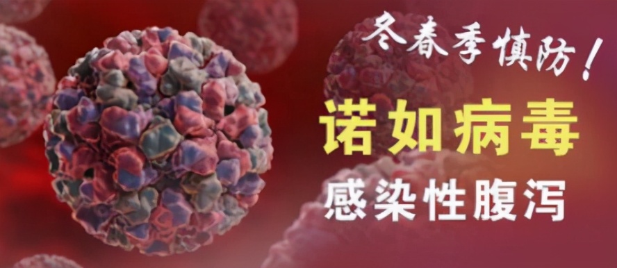 儿童腹泻呕吐诺如病毒,儿童感染诺如病毒呕吐腹泻多少次