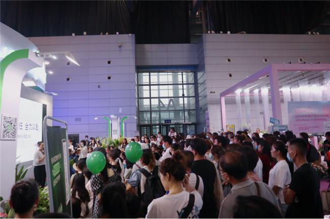 让人惊艳的花展,花展上看到的美到窒息