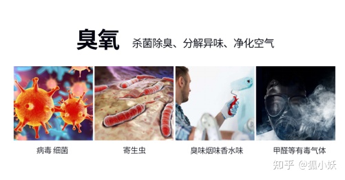 美的和小天鹅洗衣机怎么选,小天鹅2021口碑最好的洗衣机