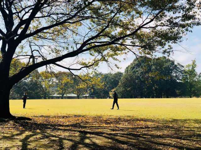 东京到镰仓和箱根攻略,东京箱根富士山镰仓