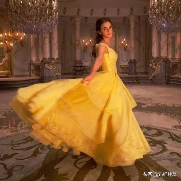 穿出奥斯卡复古名媛感，《小妇人》的设计美学超好用