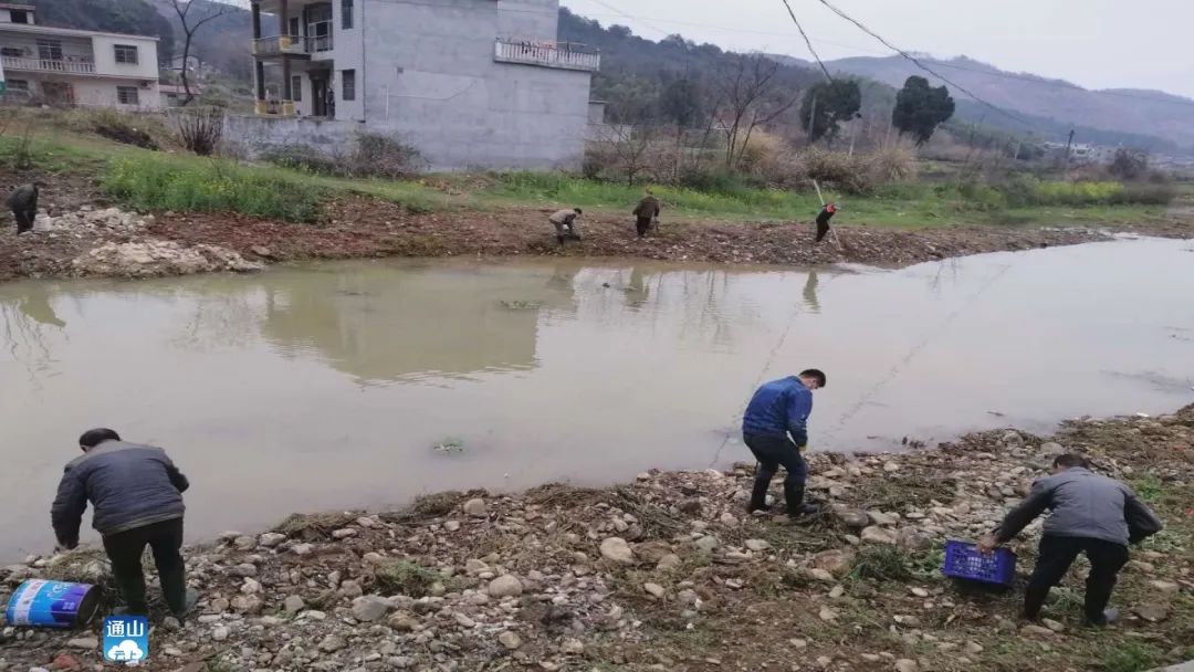 黄沙铺镇梅田村：昔日垃圾“围村”如今美丽如画