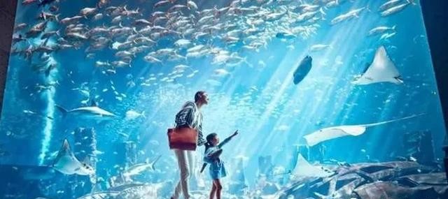 世界第八大洲是垃圾堆成的山吗,世界上的第八大洲是不是正在形成