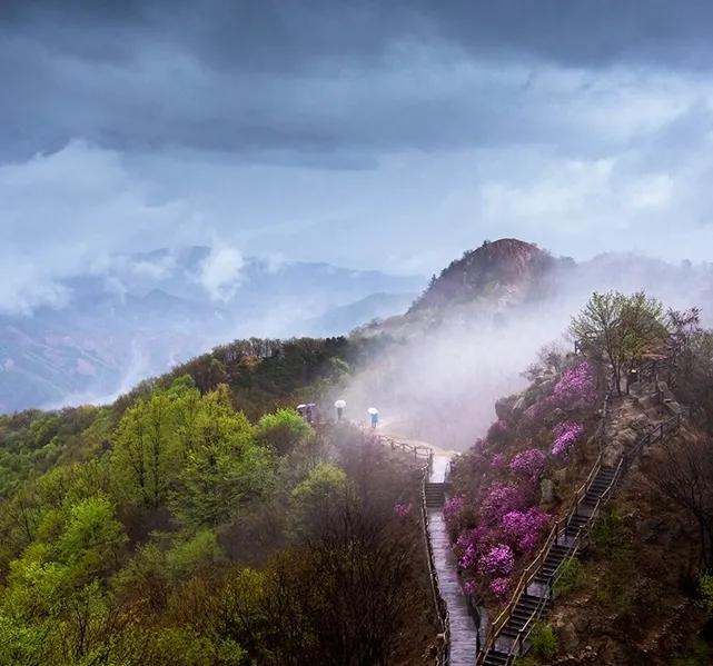 这就是天津完整视频,这就是天津南开