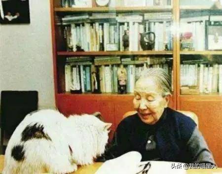 猫的魅力有多大？就连著名作家冰心奶奶也是资深“猫奴”