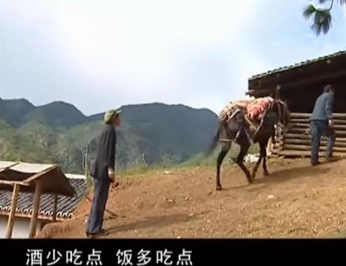 胡歌原型是什么人,胡歌夏伯渝同一天登上珠峰