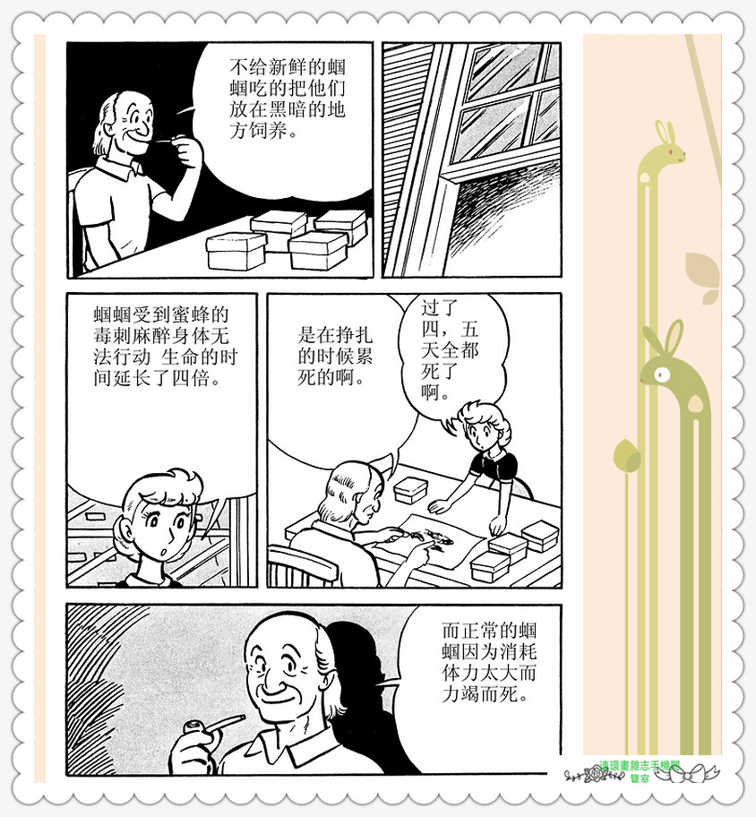 昆虫记法布尔动画片,昆虫记法布尔全套