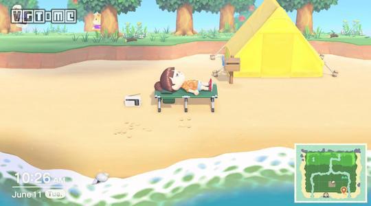 猛男必备的10种萌宠,猛男必玩的动物森友会