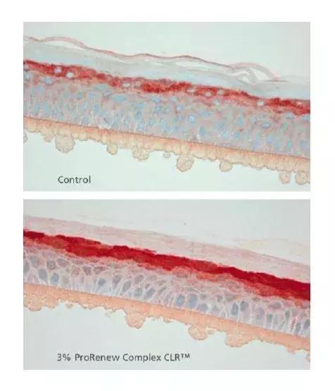 澳洲药房抗衰护肤品,澳洲药房护肤品抗皱补水
