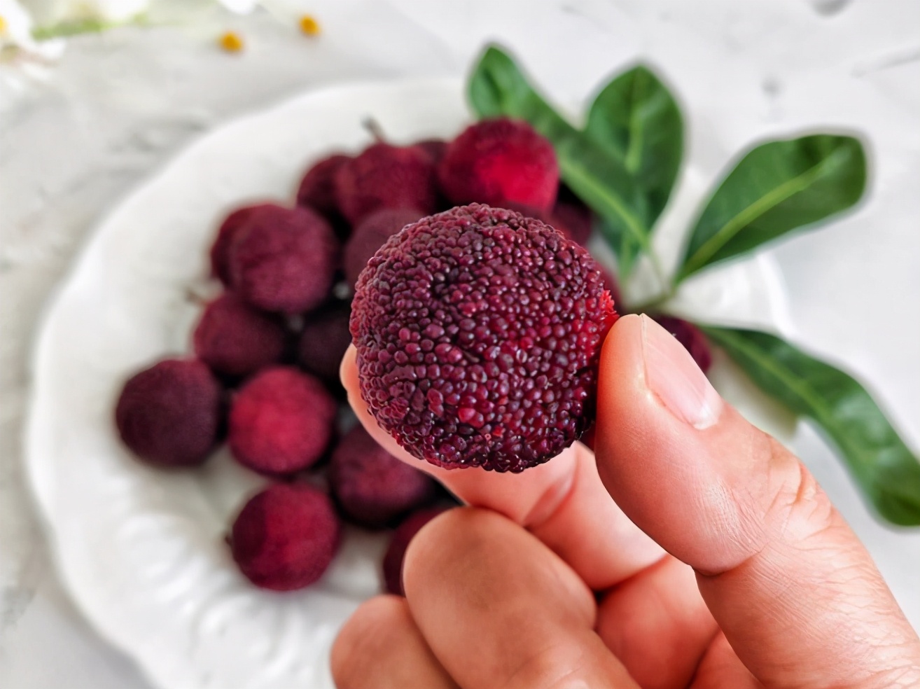 怎样洗杨梅的虫子不要小苏打,洗杨梅怎么洗虫子会跑出来