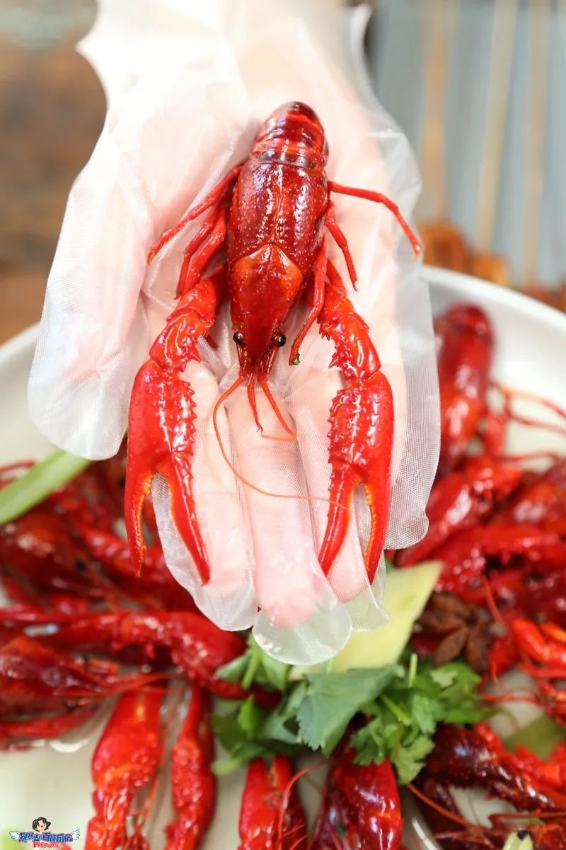 不容错过的小龙虾,不能错过的小龙虾
