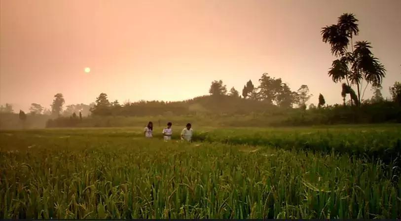 一家人如果都没了能相聚吗,春节的意义就是一家人团聚的时候