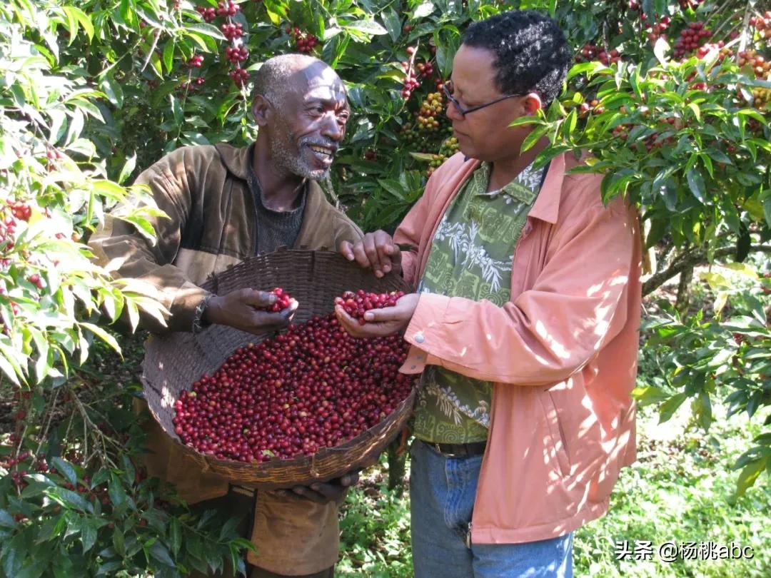 最受欢迎的进口零食,小众却很in的零食你吃过几款