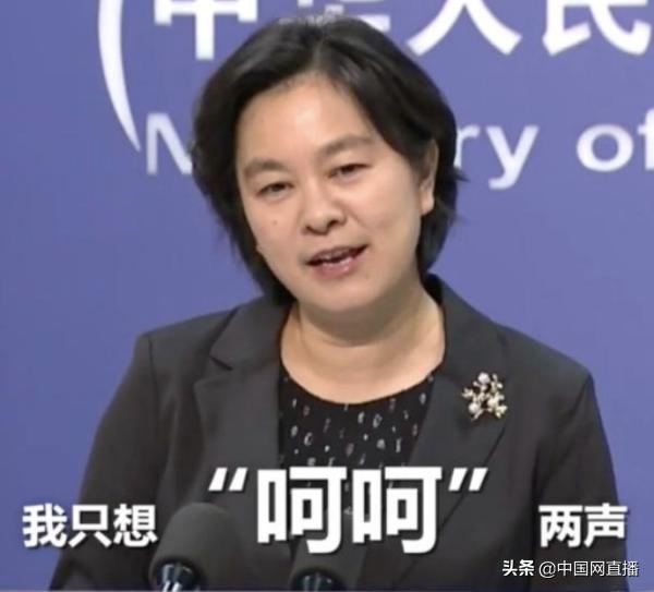 呵呵、甩锅、蚍蜉撼树……2019这一年，外交部的翻译太难了