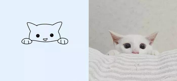 一波可爱动物简笔画,超火的简笔画动图