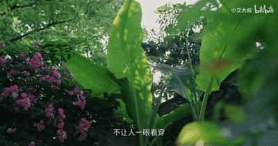 顶级轻奢豪宅屏风隔断,1.58亿豪宅