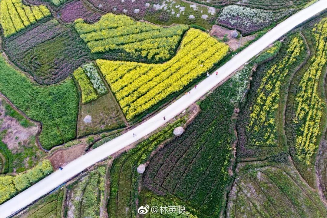 婺源油菜花一日游旅游攻略,婺源油菜花旅游攻略