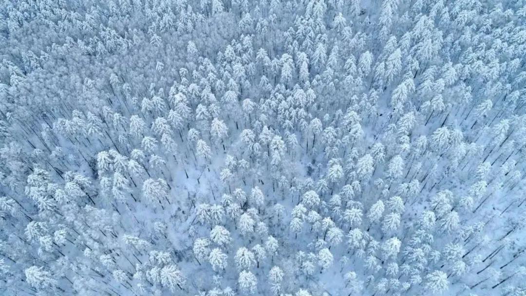 冬天适合旅游的国内看雪景点,冬天看雪最值得去的地方