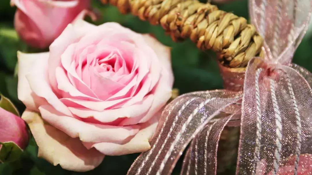 厦门这家超浪漫的鲜花餐厅,厦门最好看的花店