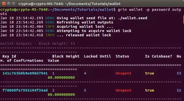 grin的未来发展规划是怎样的,grin未来发展