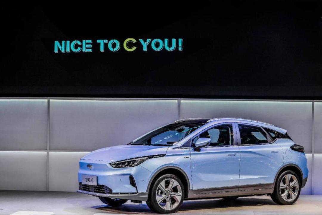 静海县注册物流公司需要什么条件,金华西站宠物托运