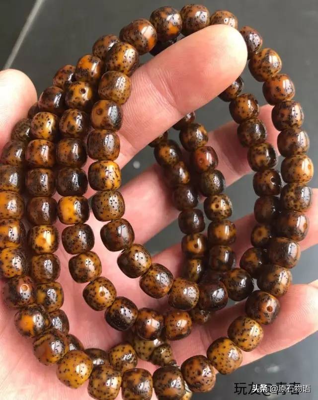 星月菩提一般几个籽,星月菩提只要是真的就可以玩