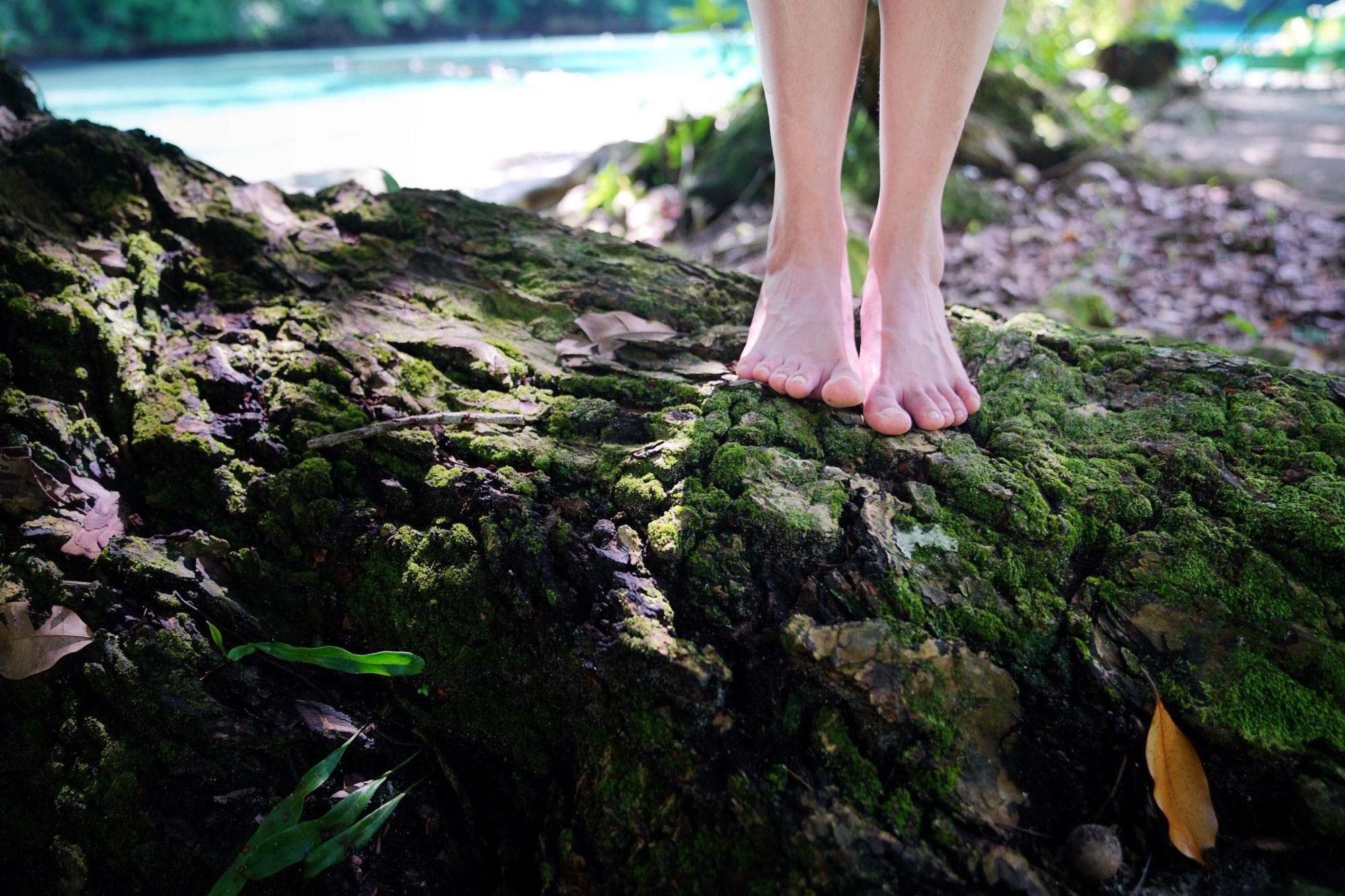 一定是特别的缘分——帕劳，再遇见「周若雪Patty」·上