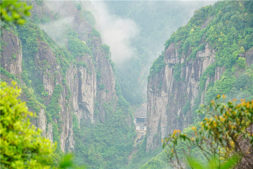 浙江有一个神奇山,浙江山里蝌蚪