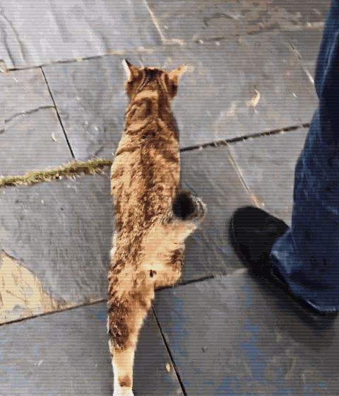 男子报警21岁喜当爹,男子喜当爹做了一件荒唐事