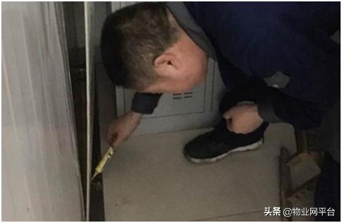 灭跳蚤最快方法,快速有效的灭跳蚤方法