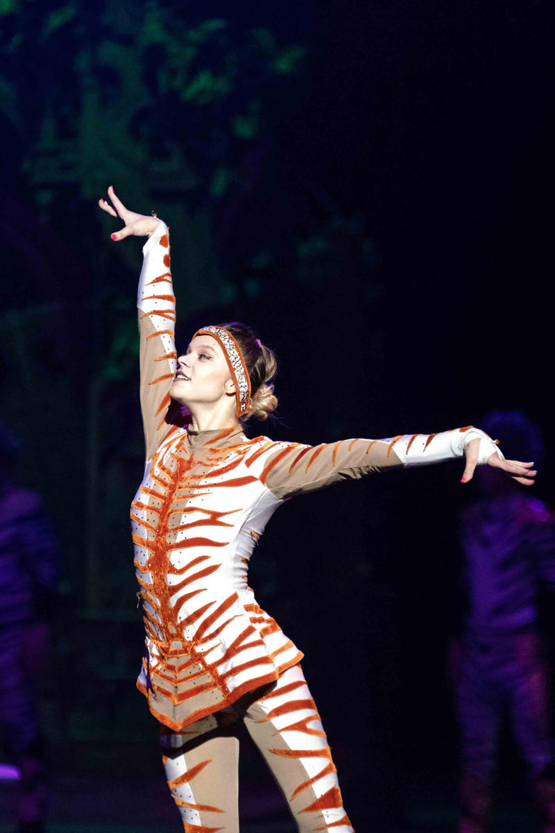 玩转广州长隆野生动物世界之行,广州长隆动物世界游玩攻略图