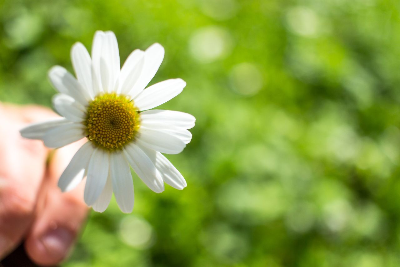 骂人都会骂哭自己的几个星座,骂人不怂的几个星座