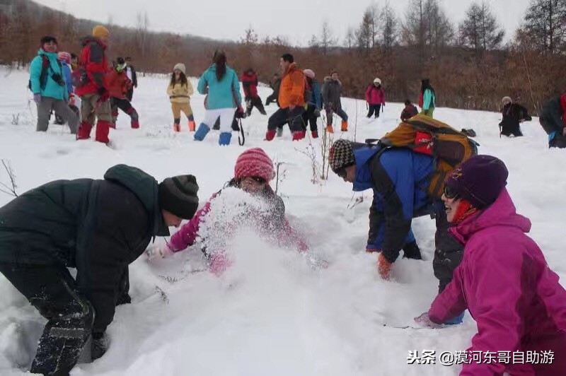 漠河旅游团暑假,漠河雪乡旅游小团