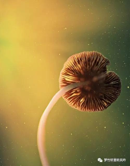 把自己的销售技巧和经验分享下去,销售合理化建议金点子100条