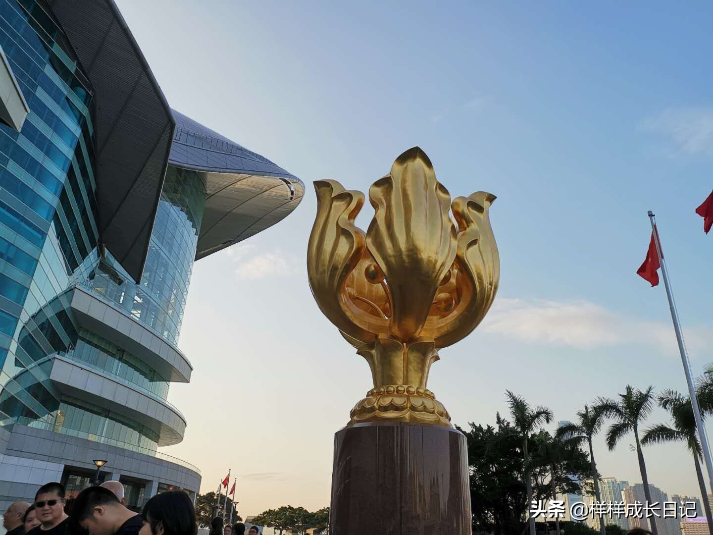去香港玩自由行攻略,去香港自由行详细攻略最新政策