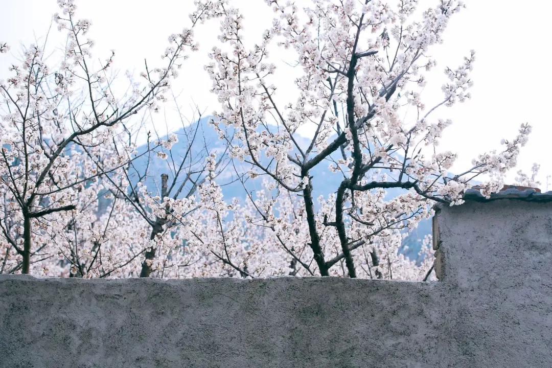 玖玺会人物志丨于钦珍