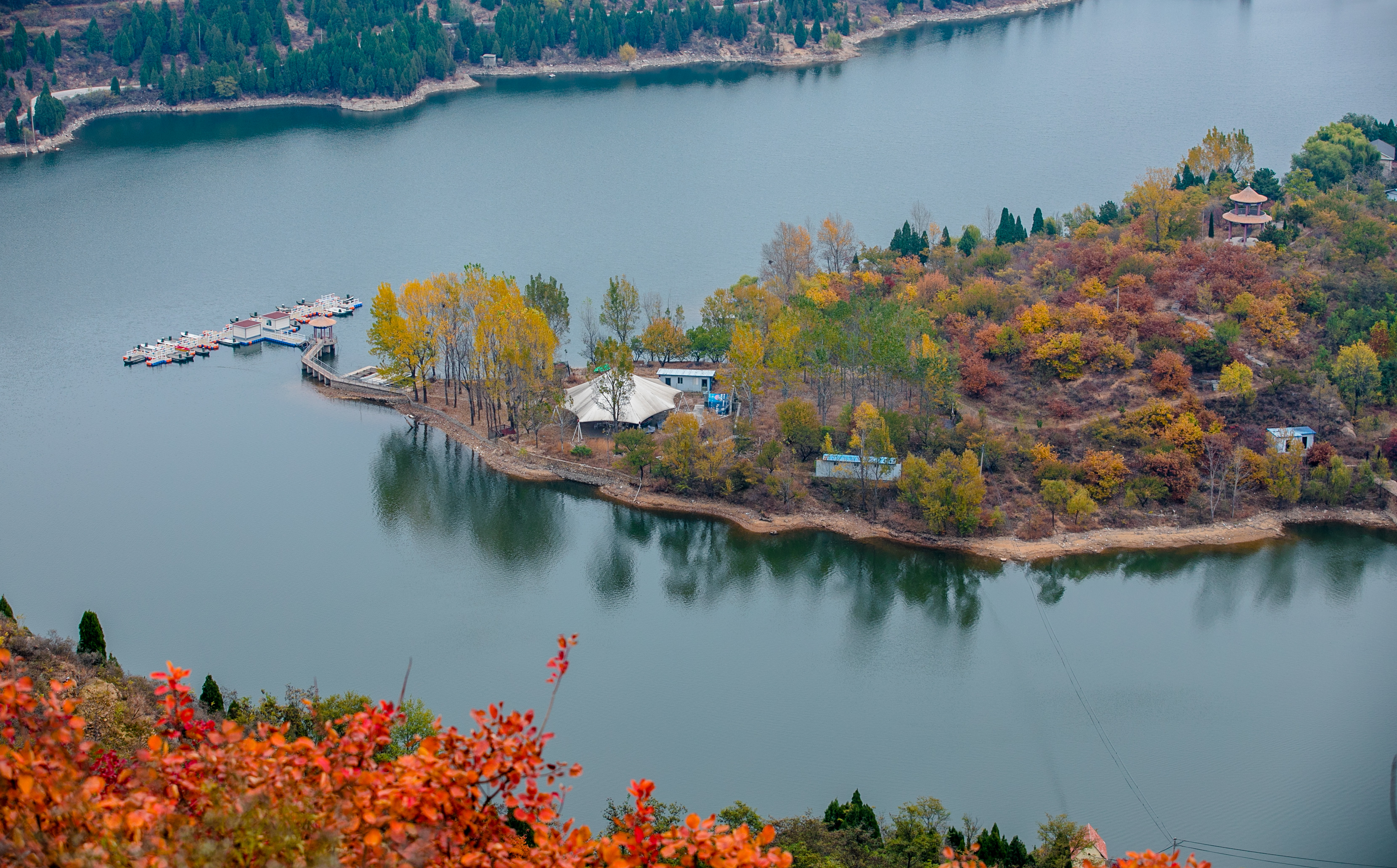 入秋济南好去处,济南秋季看花打卡地