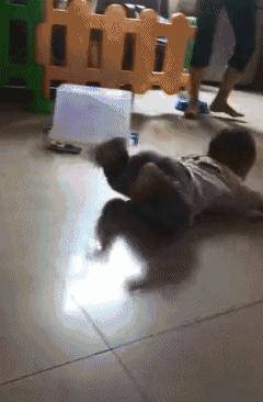 遛狗搞笑图片把主人鞋都追掉,遛狗被猫砸中